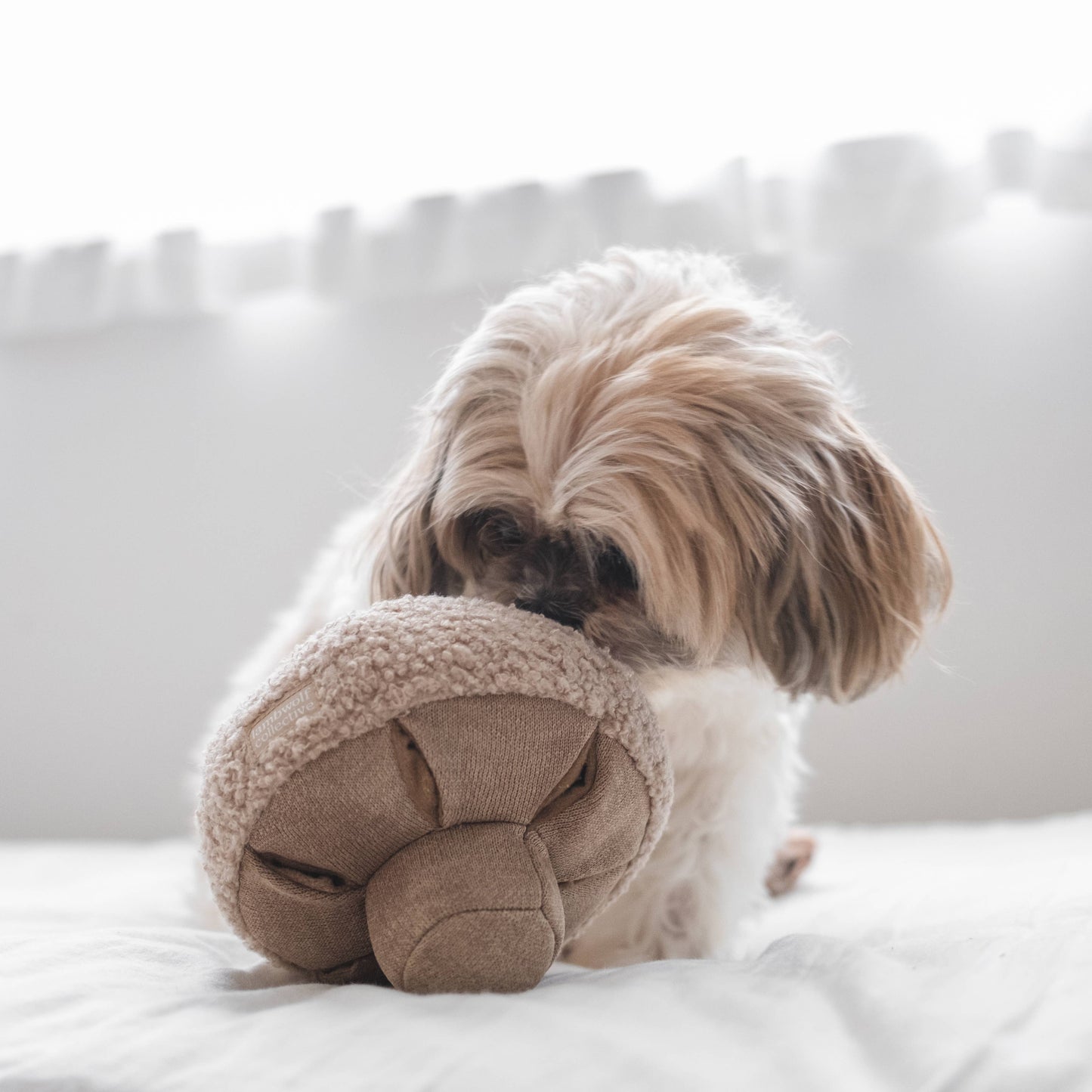 Interactive Boucle Mushroom Snuffle Dog Enrichment Toy - Nosework for Mental Stimulation (Washable, M/L)
