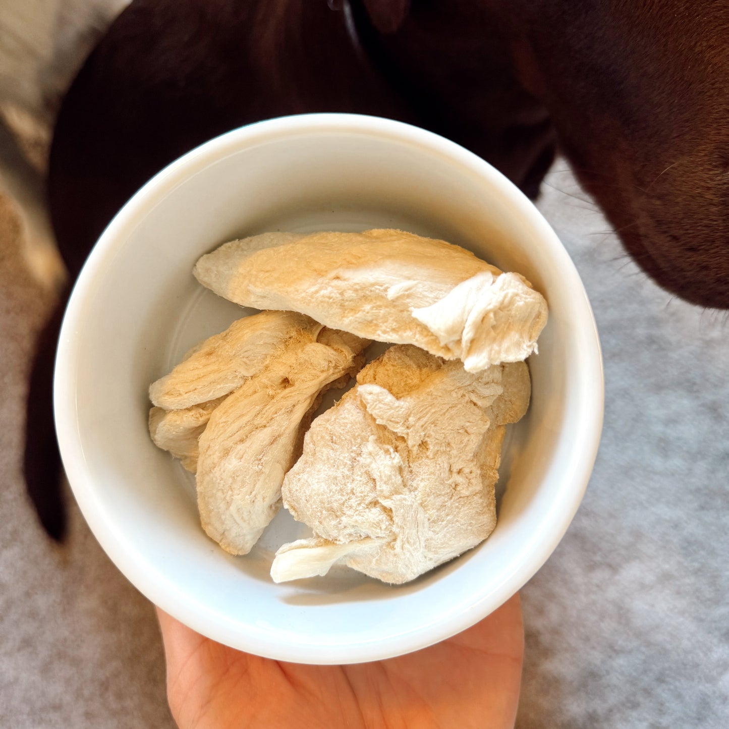 Person holding a white bowl with pieces of dried chicken breast treats, with a dog's paw in the foreground.