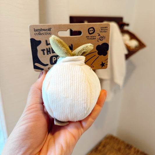 Hand holding a small garlic dog toy indoors.