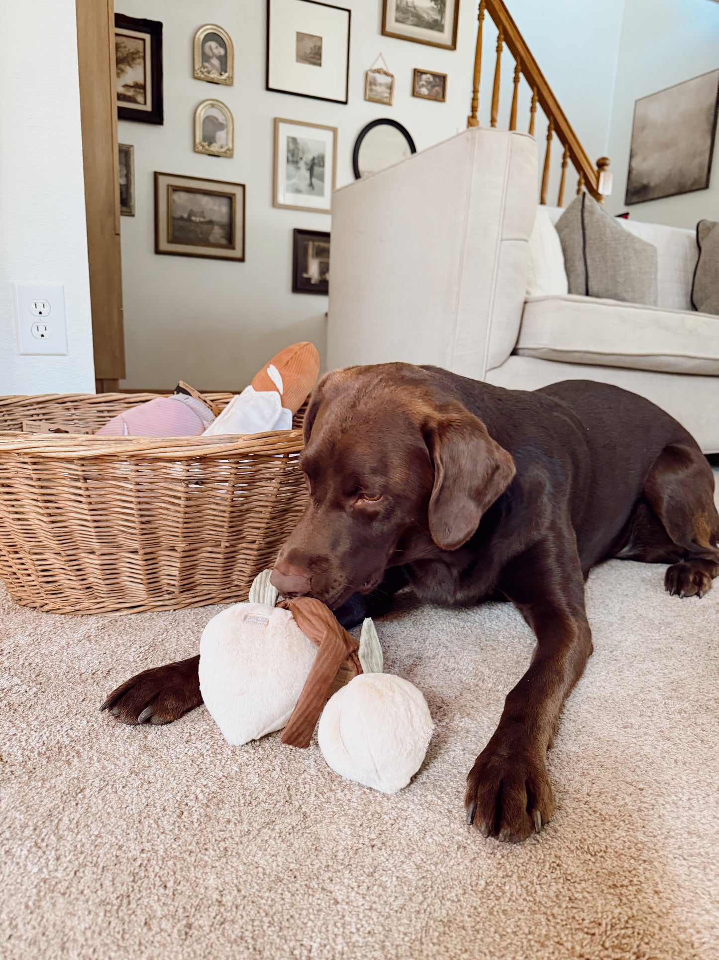 Interactive Two Peaches Snuffle Dog Enrichment Toy - Nosework for Mental Stimulation (Washable, M/L)