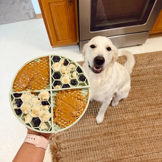Dog standing on a kitchen floor with a round lick mat featuring different textures filled with peanut butter, bananas and blueberries.