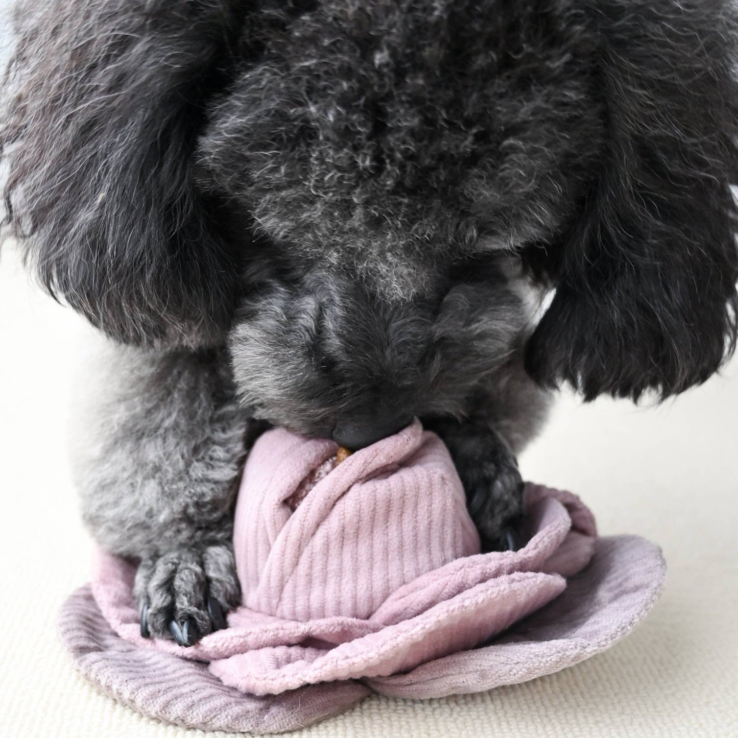 Interactive Cabbage Pop Burrow Dog Enrichment Toy - Nosework for Mental Stimulation (Washable, S/M/L)