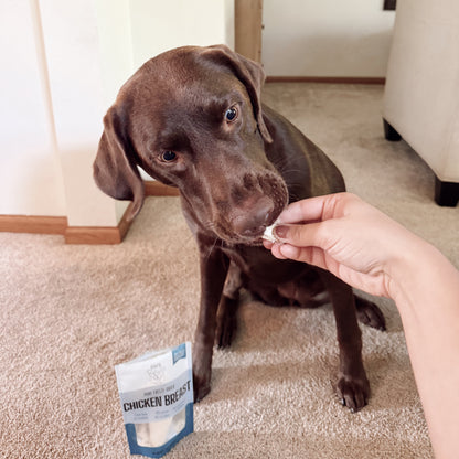 Dog being offered a treat by a hand with a chicken breast snack package on a carpeted floor.