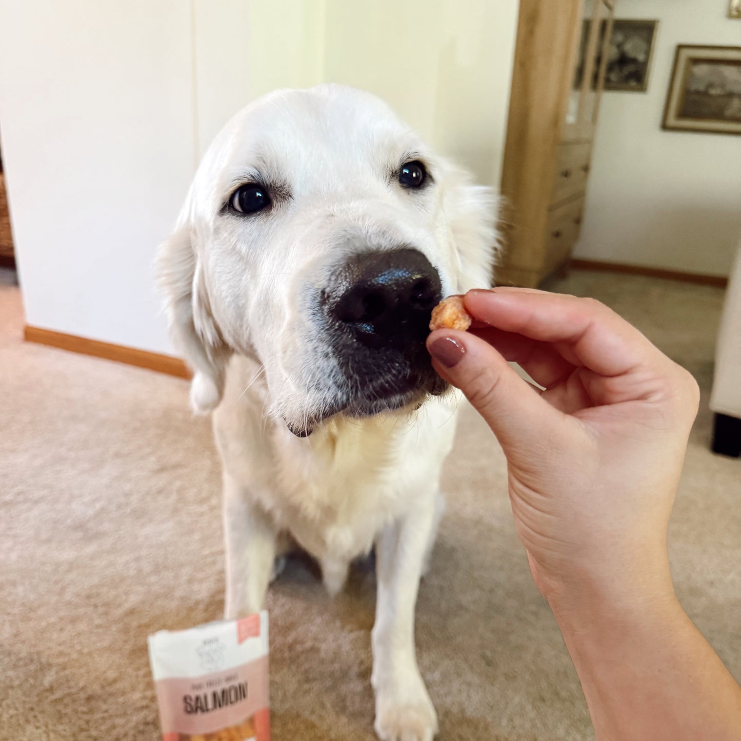 Dog being offered a treat by a hand on a carpeted floor with a salmon dog treats bag on the floor.