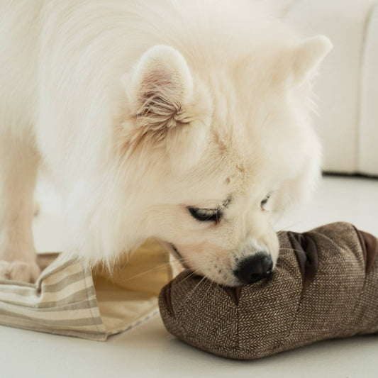 Interactive Rye Bread Snuffle Dog Enrichment Toy - Nosework for Mental Stimulation (Washable, M/L)