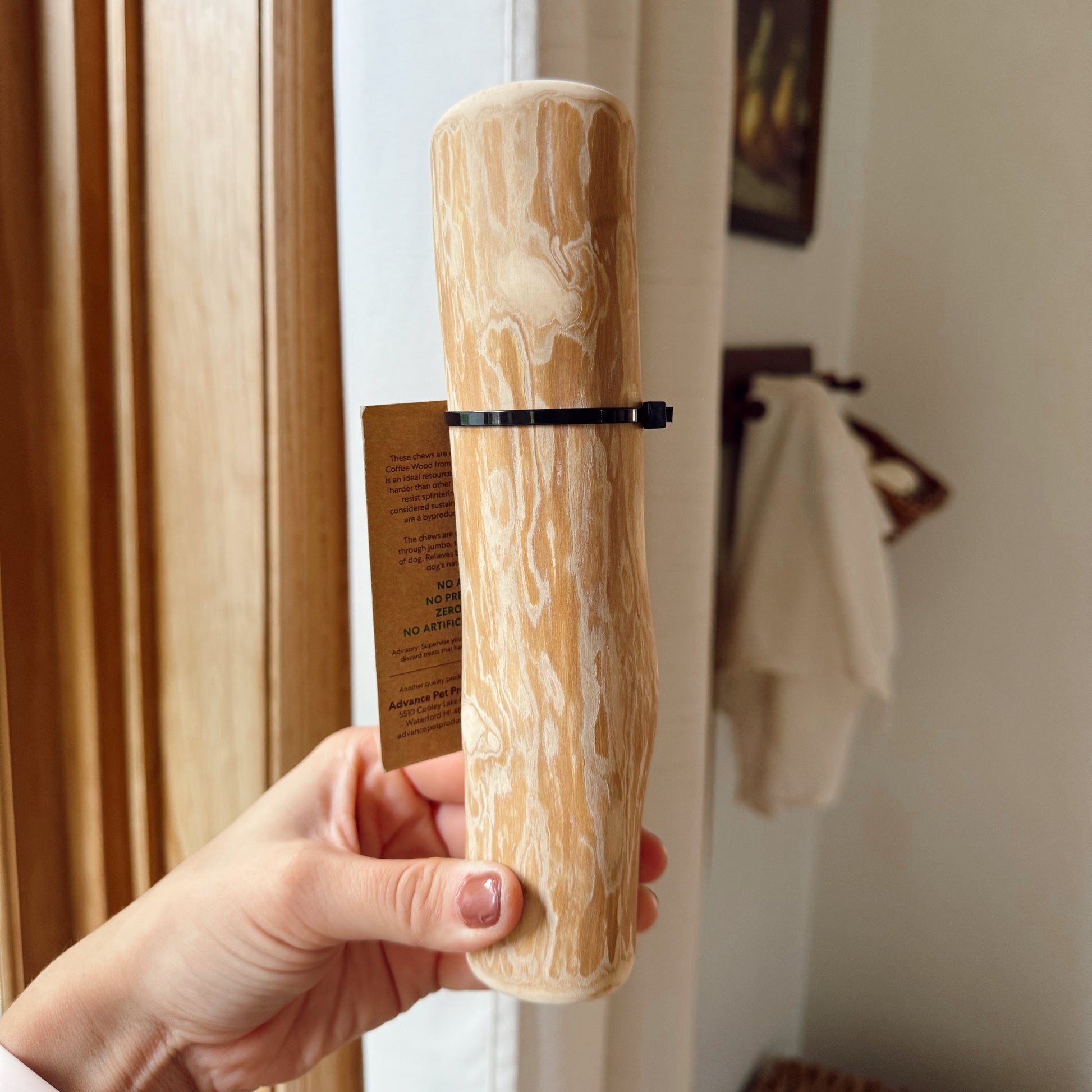 Dog coffeewood bone held by a hand with a neutral background.