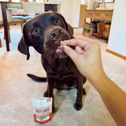 Dog being fed a treat with a package of Beef Liver treats in the foreground.