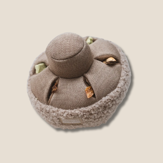 Interactive Boucle Mushroom Snuffle Dog Enrichment Toy - Nosework for Mental Stimulation (Washable, M/L)