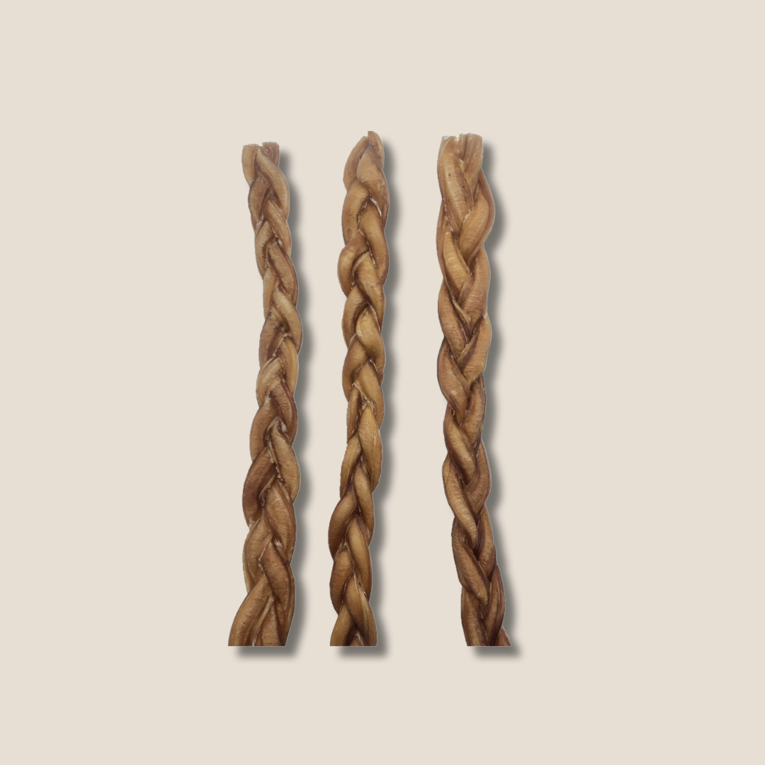 12-Inch Braided Bully Sticks for All Dogs – Healthy Rawhide Alternative Chew Treats for Strong Teeth & Gums (Digestible, All-Natural, M/L)