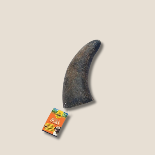 Water Buffalo Horns for Small Dogs – Healthy Rawhide Alternative Chew Treats for Strong Teeth & Gums (Digestible, All-Natural)