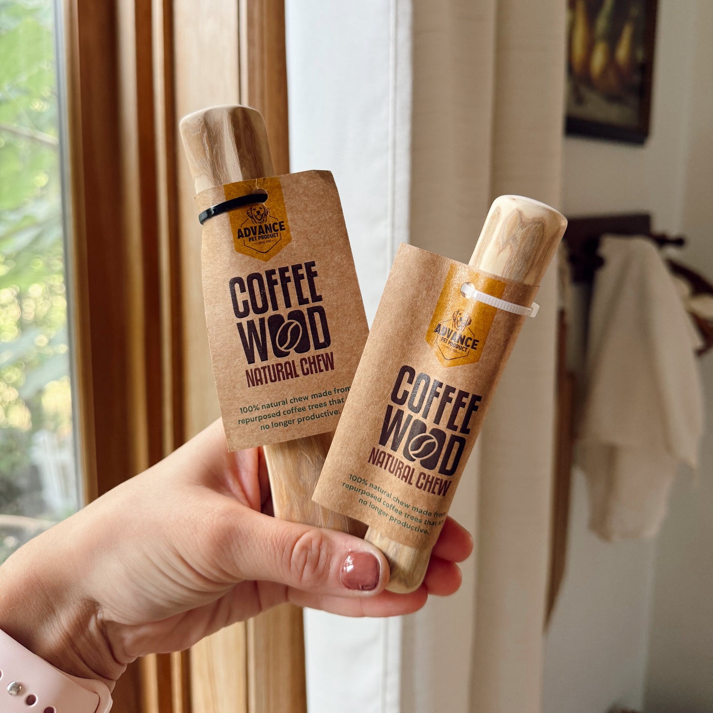 Hand holding two dog coffee wood sticks indoors.