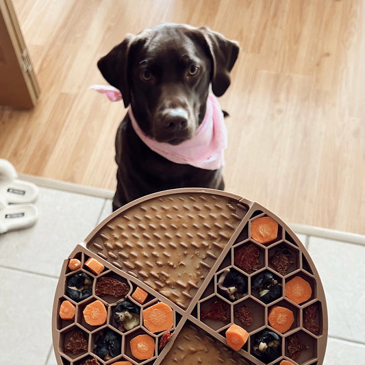 Silicone Textured Dog Lick Mat for Anxiety Relief & Slow Feeding – Enrichment Treat Dispensing Mat (Non-Slip, Dishwasher-Safe, Light Blue)