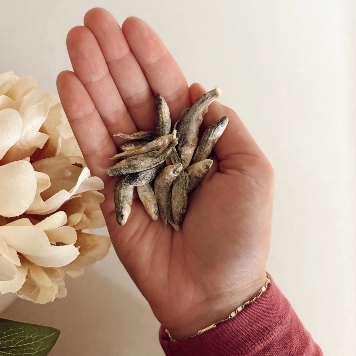 Freeze-Dried Minnow – Lean High-Protein Training Treats for All Dogs (Single-Ingredient, Grain-Free, Low-Fat)
