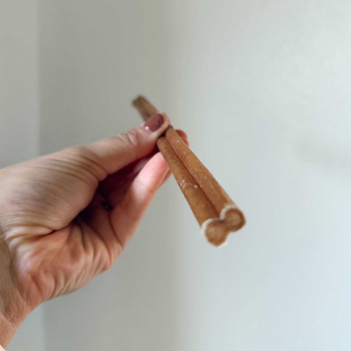 Hand holding a dog bully stick against a light background.