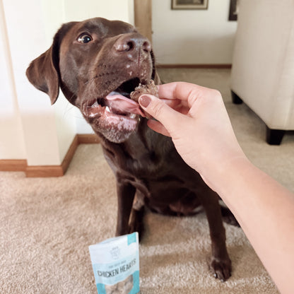 Dog being offered a treat with a package of Chicken Hearts treats in the foreground.
