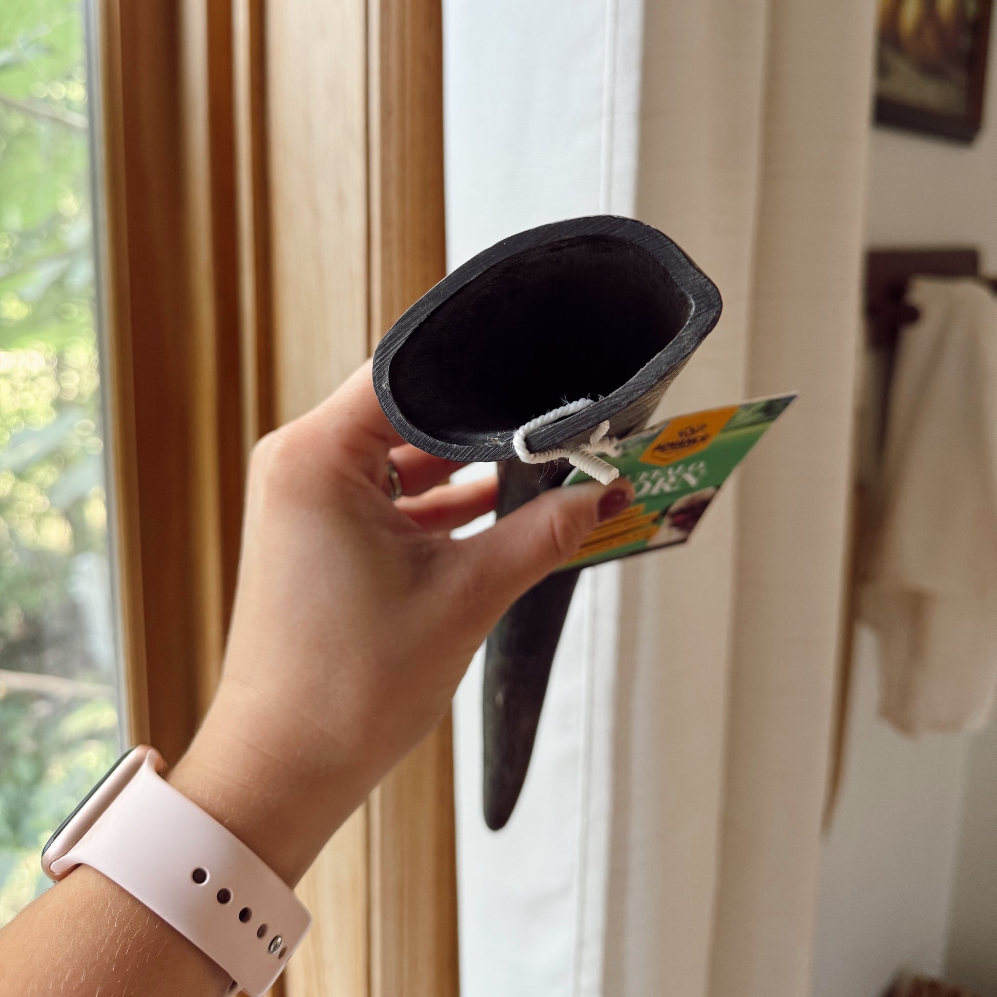 Person holding a black water buffalo horn with a green label indoors.