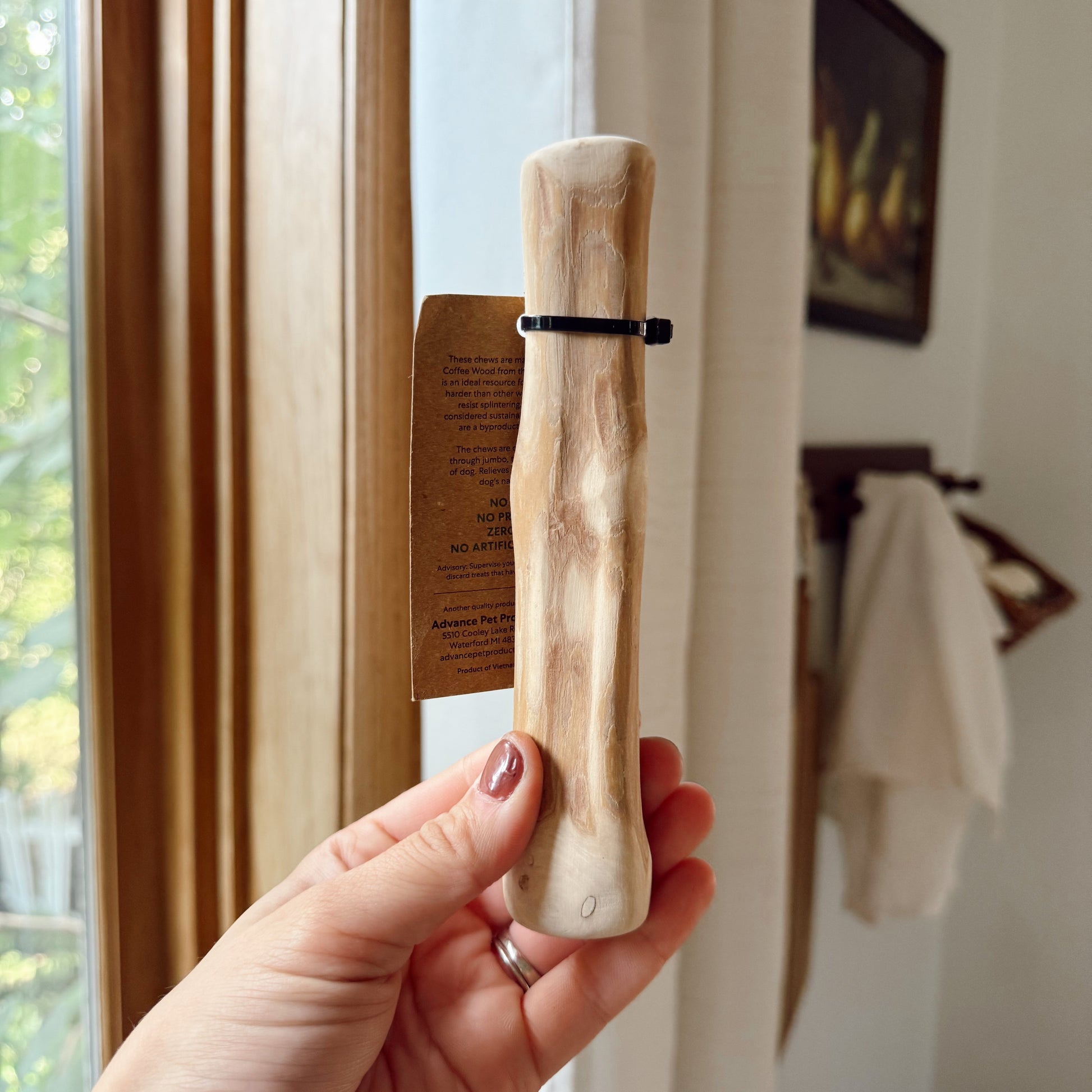 Hand holding a dog coffee wood stick indoors.