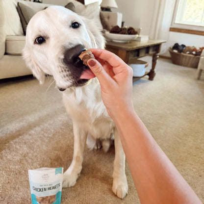 Dog being fed a treat in a living room with a package of treats on the floor.