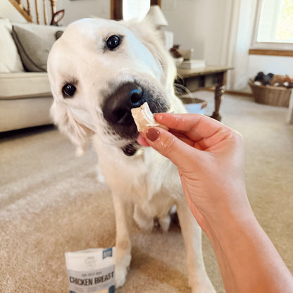 Dog being offered a treat with a package labeled 'Chicken Breast' in a home setting.