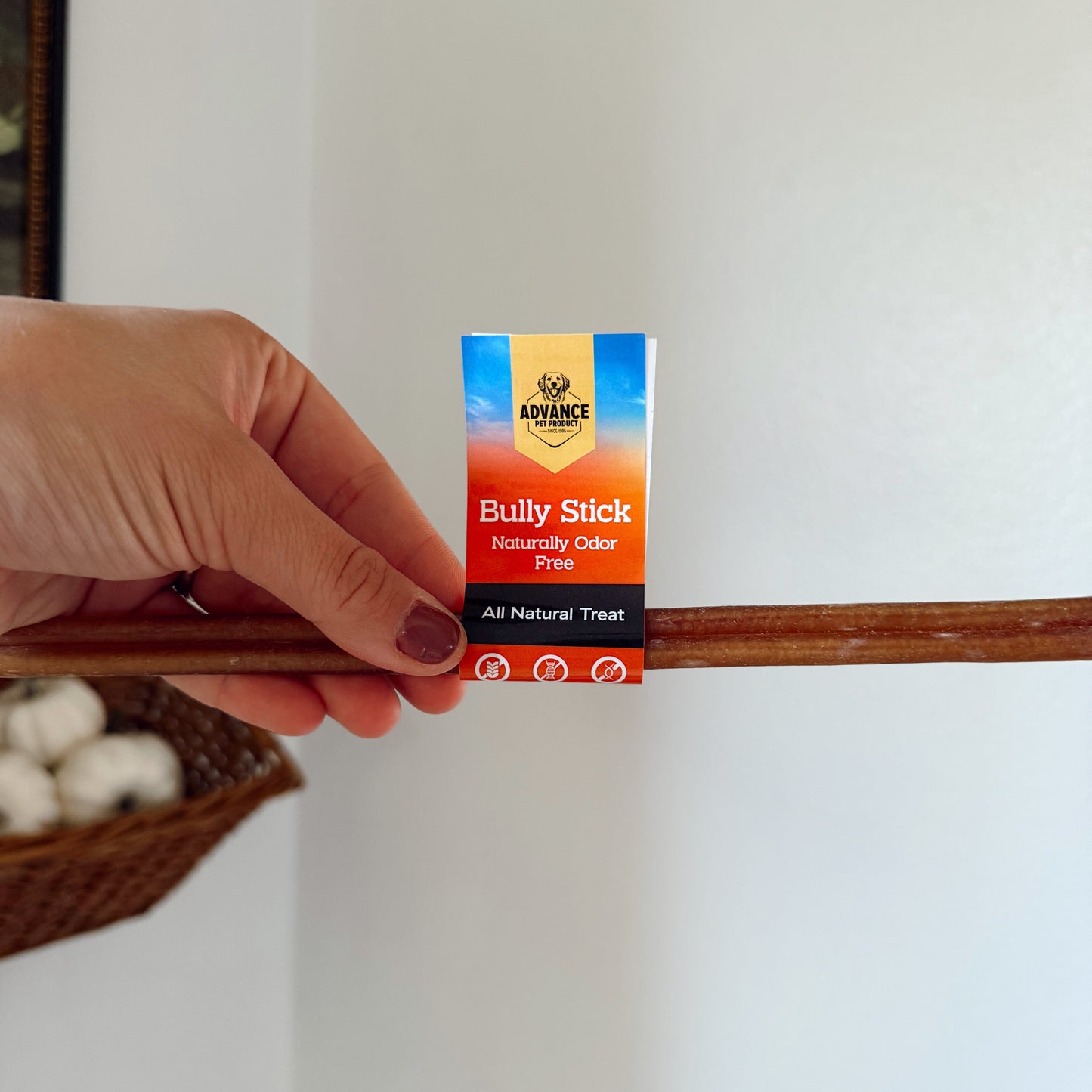 Hand holding a dog bully stick with a white background.