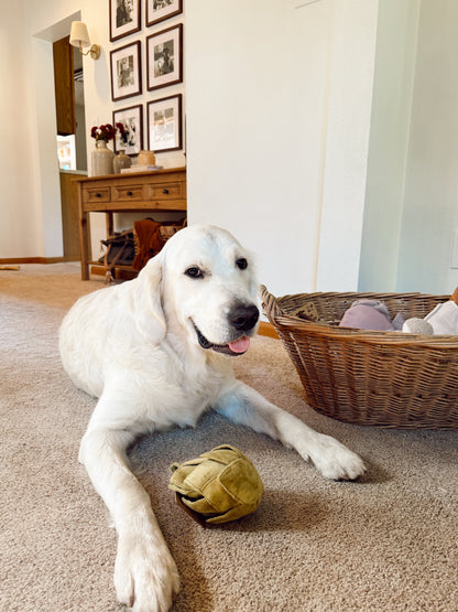Interactive Artichoke Snuffle Dog Enrichment Toy - Nosework for Mental Stimulation (Washable, S/M)