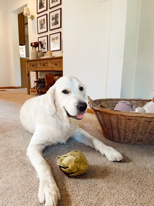 Interactive Artichoke Snuffle Dog Enrichment Toy - Nosework for Mental Stimulation (Washable, S/M)