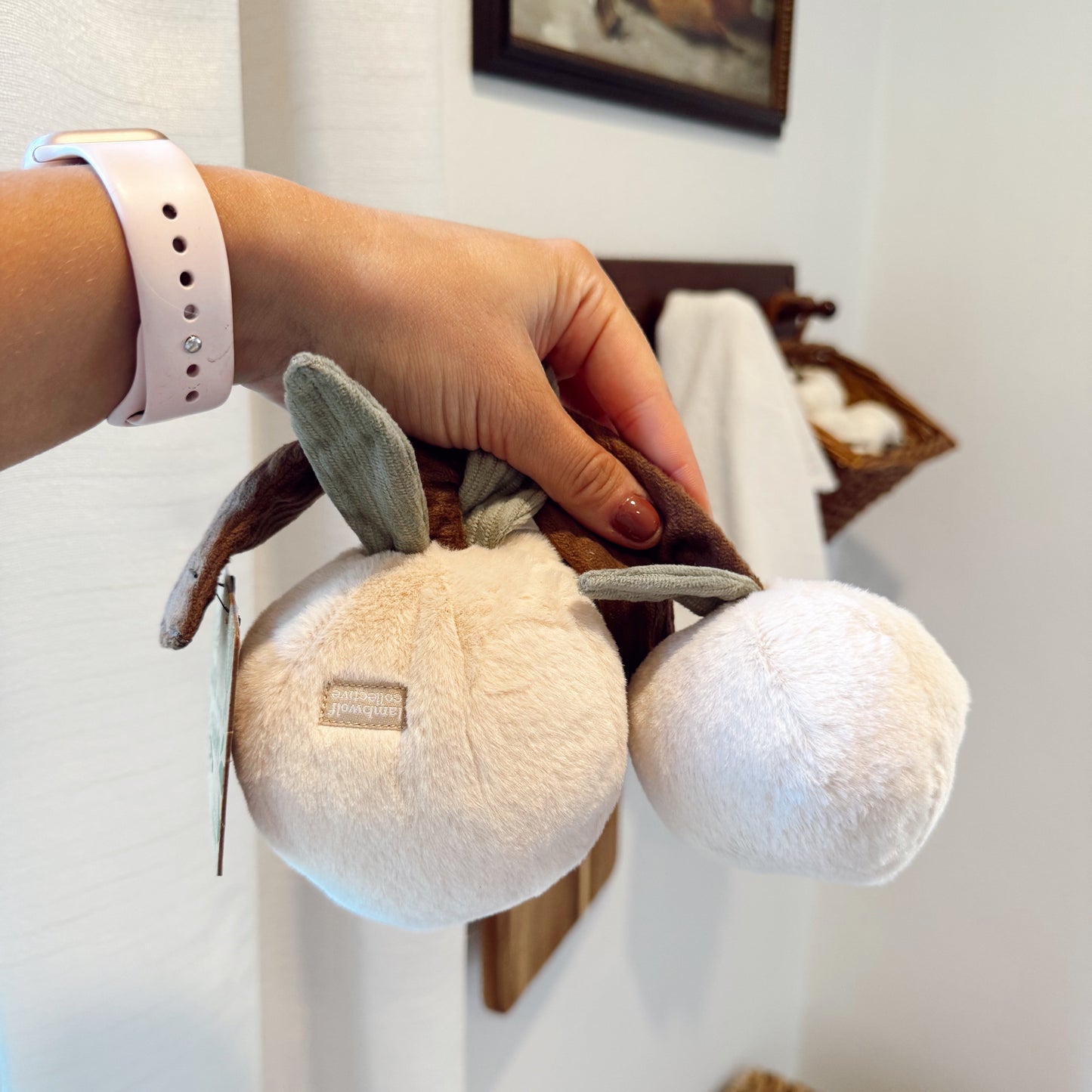 Hand holding dog peaches toy indoors.