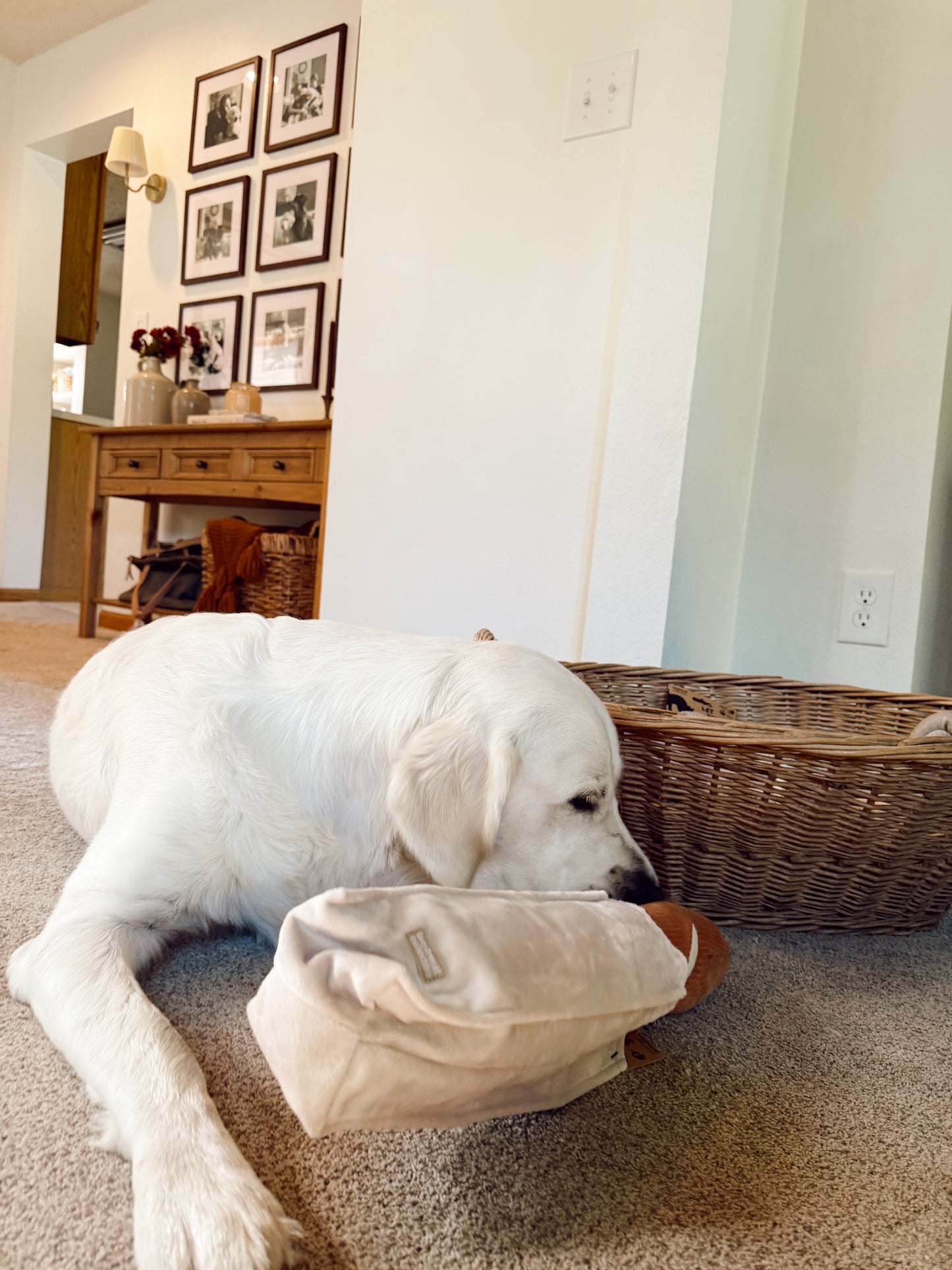 Interactive Baguette Snuffle Dog Enrichment Toy - Nosework for Mental Stimulation (Washable, M/L)