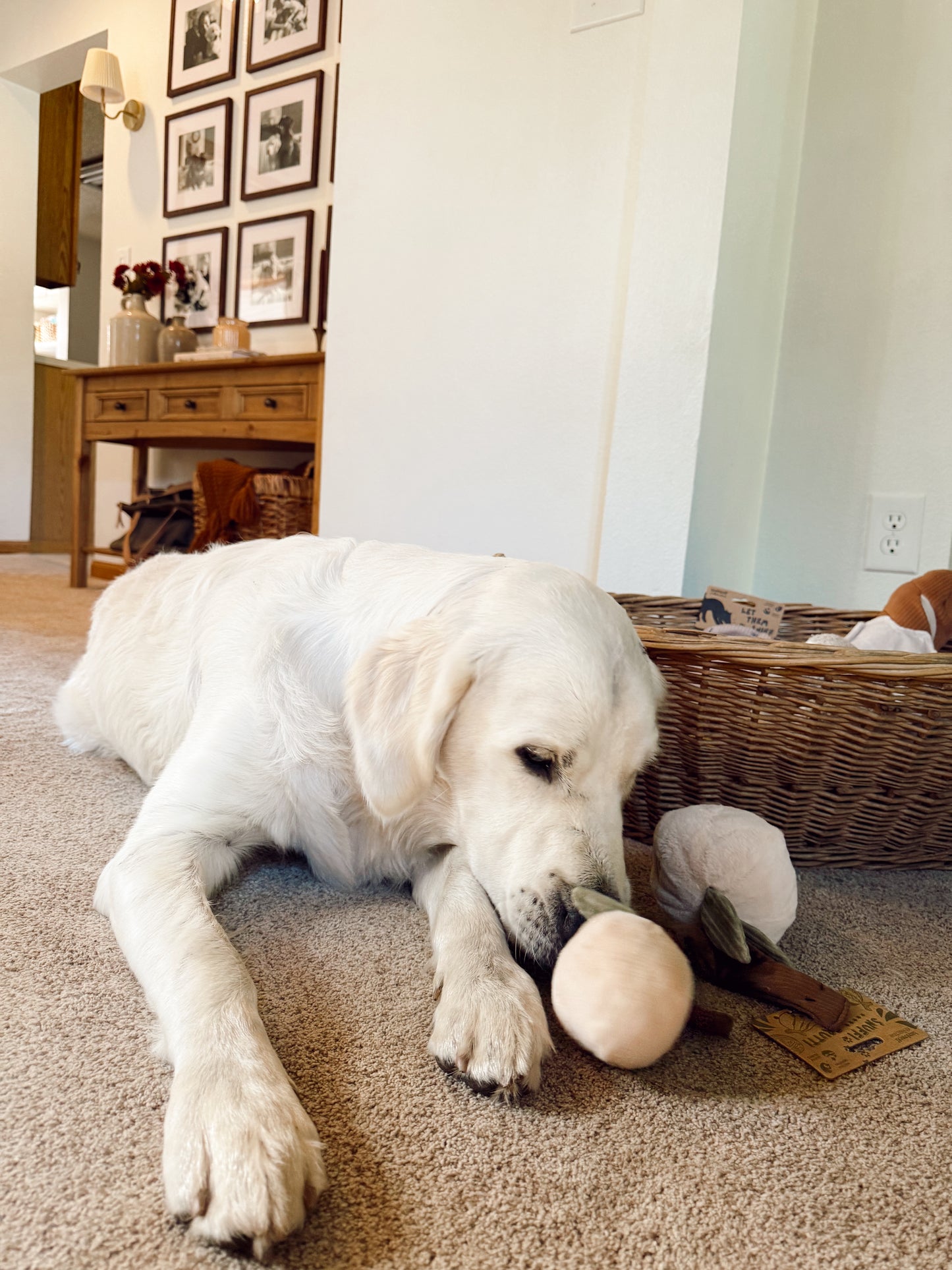 Interactive Two Peaches Snuffle Dog Enrichment Toy - Nosework for Mental Stimulation (Washable, M/L)