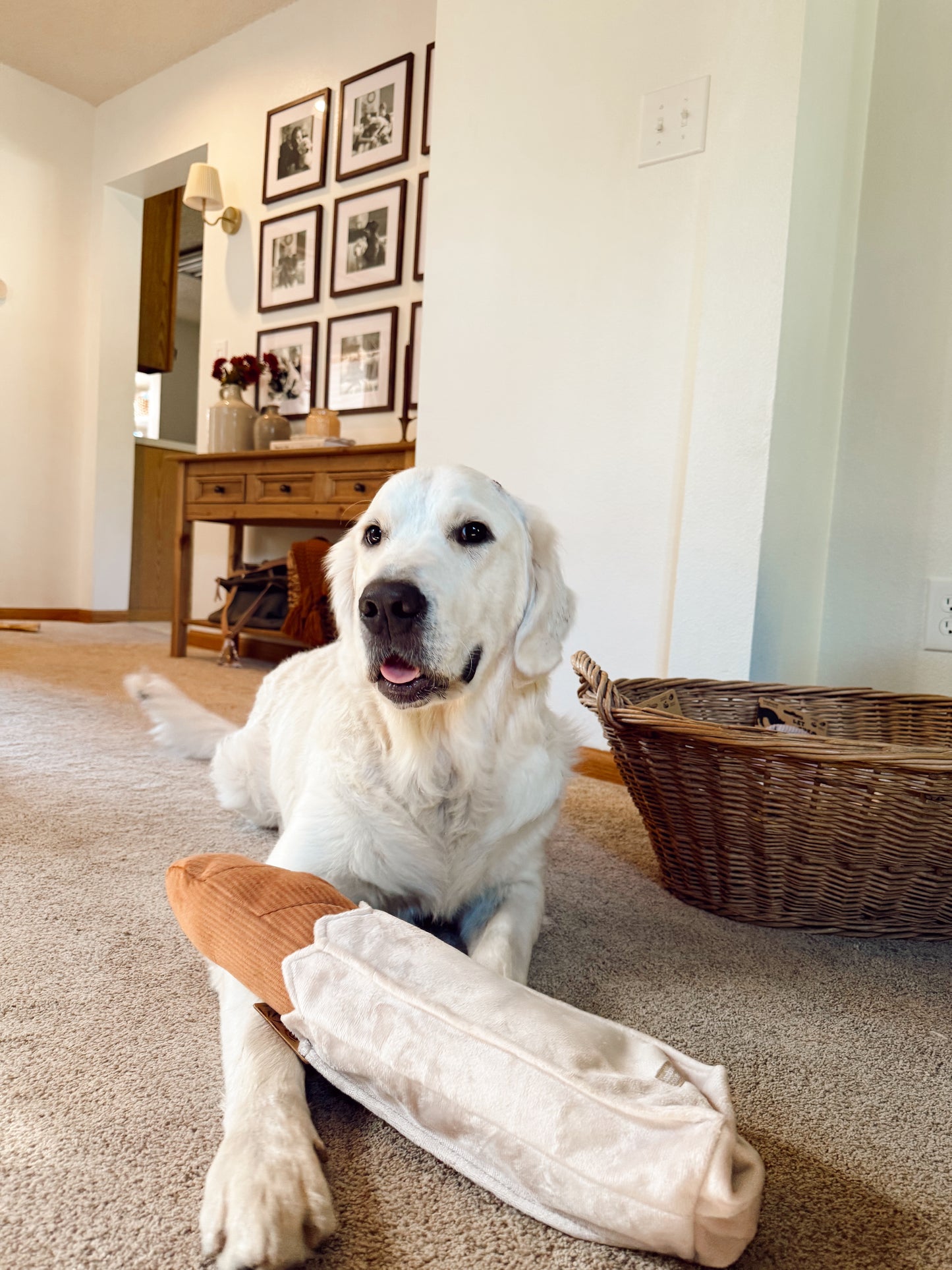 Interactive Baguette Snuffle Dog Enrichment Toy - Nosework for Mental Stimulation (Washable, M/L)