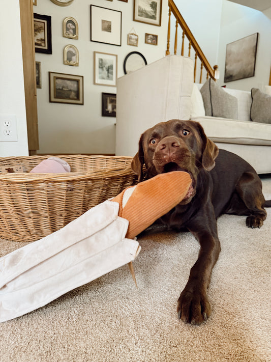 Interactive Baguette Snuffle Dog Enrichment Toy - Nosework for Mental Stimulation (Washable, M/L)