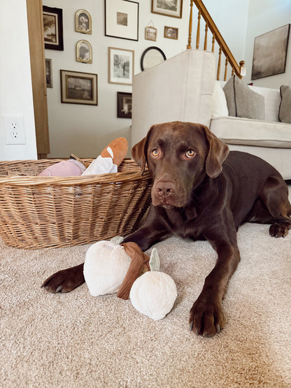 Interactive Two Peaches Snuffle Dog Enrichment Toy - Nosework for Mental Stimulation (Washable, M/L)