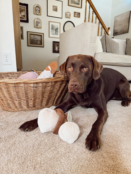 Interactive Two Peaches Snuffle Dog Enrichment Toy - Nosework for Mental Stimulation (Washable, M/L)