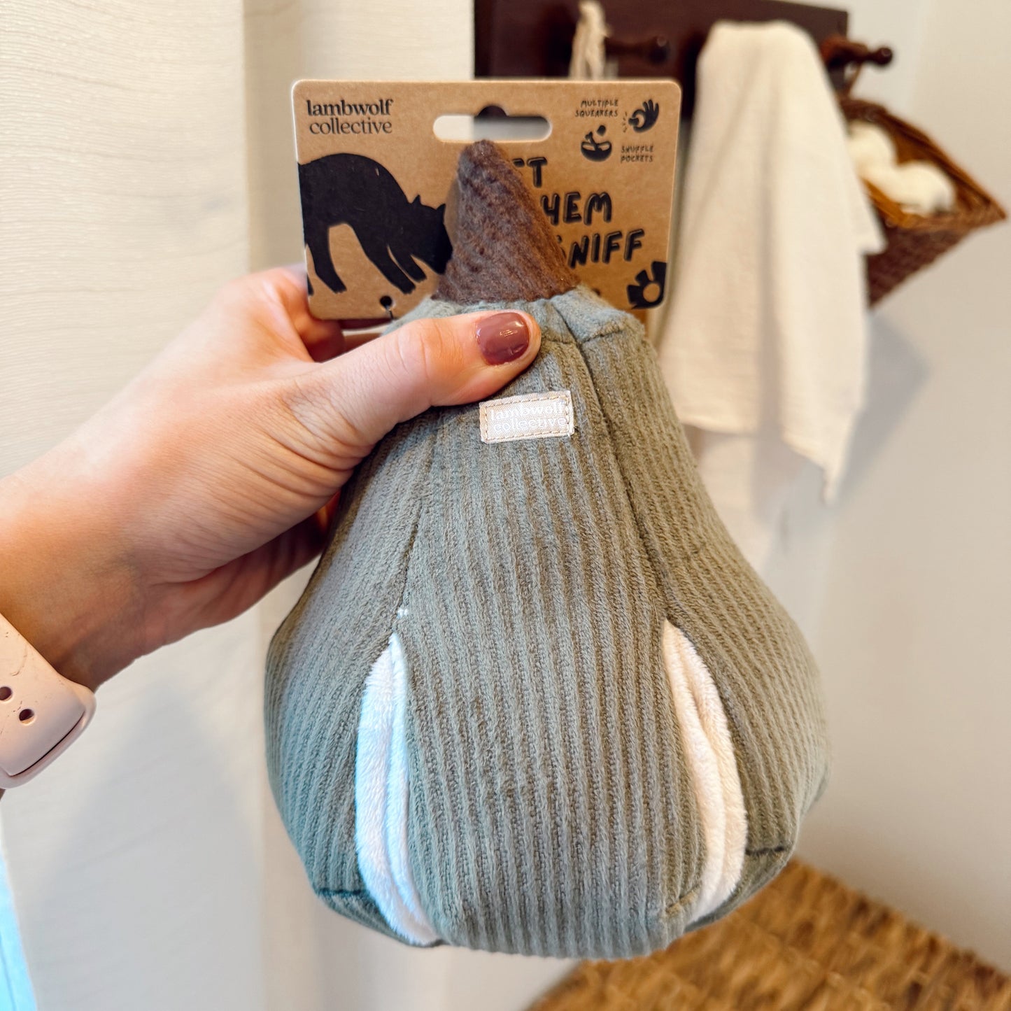 Hand holding a butternut dog toy indoors.