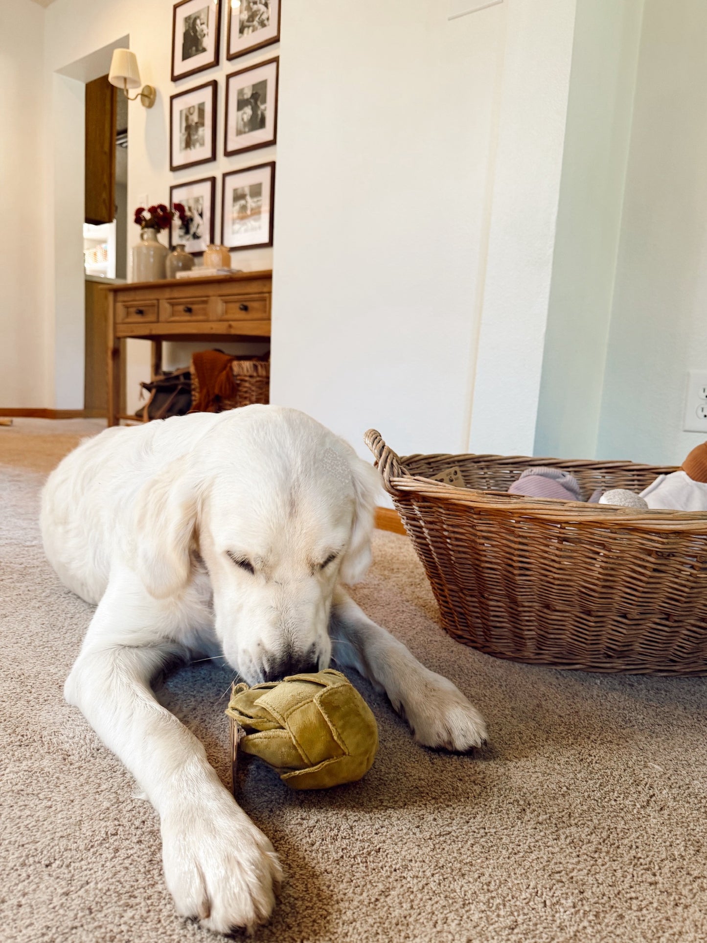 Interactive Artichoke Snuffle Dog Enrichment Toy - Nosework for Mental Stimulation (Washable, S/M)