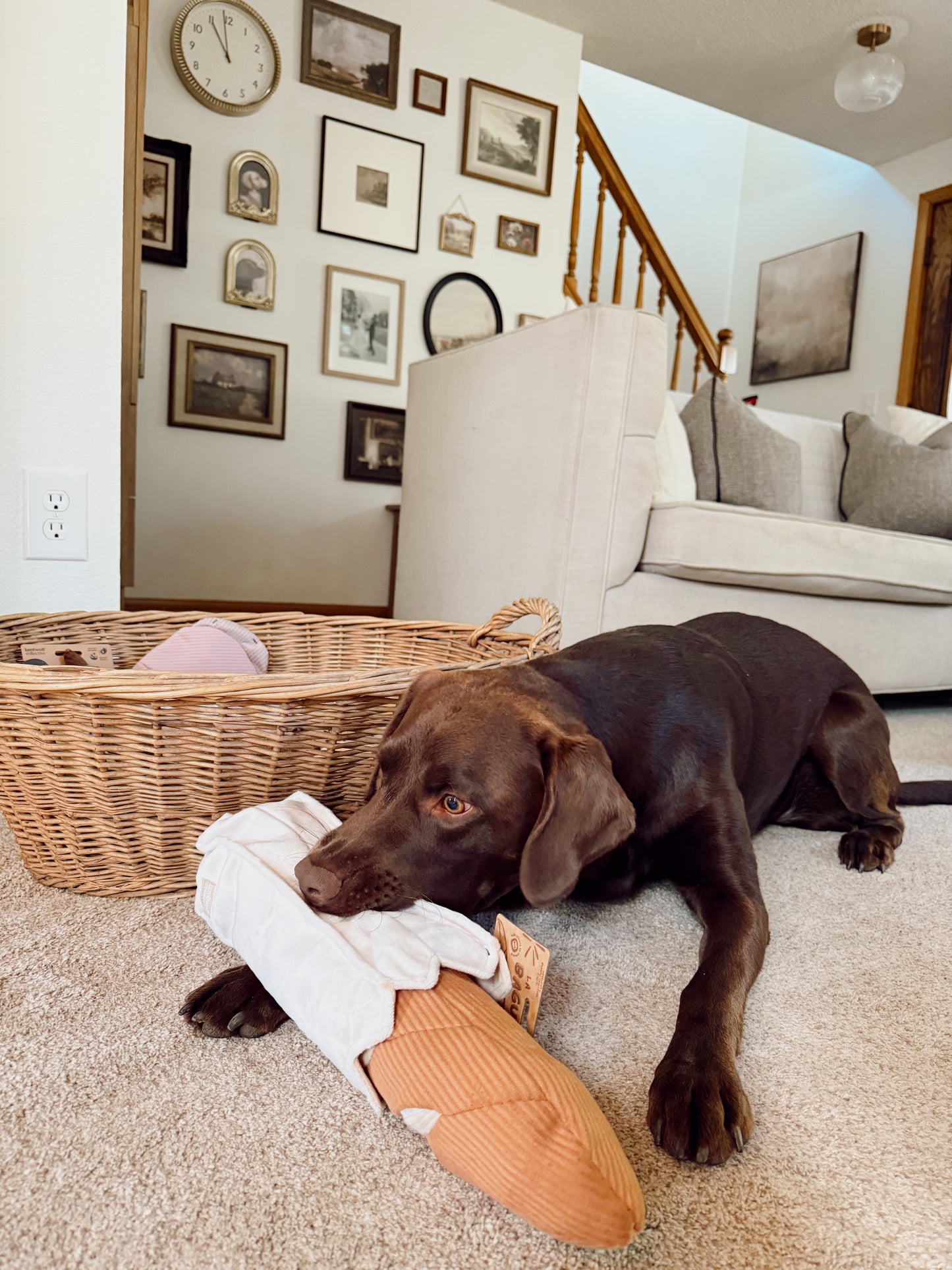 Interactive Baguette Snuffle Dog Enrichment Toy - Nosework for Mental Stimulation (Washable, M/L)
