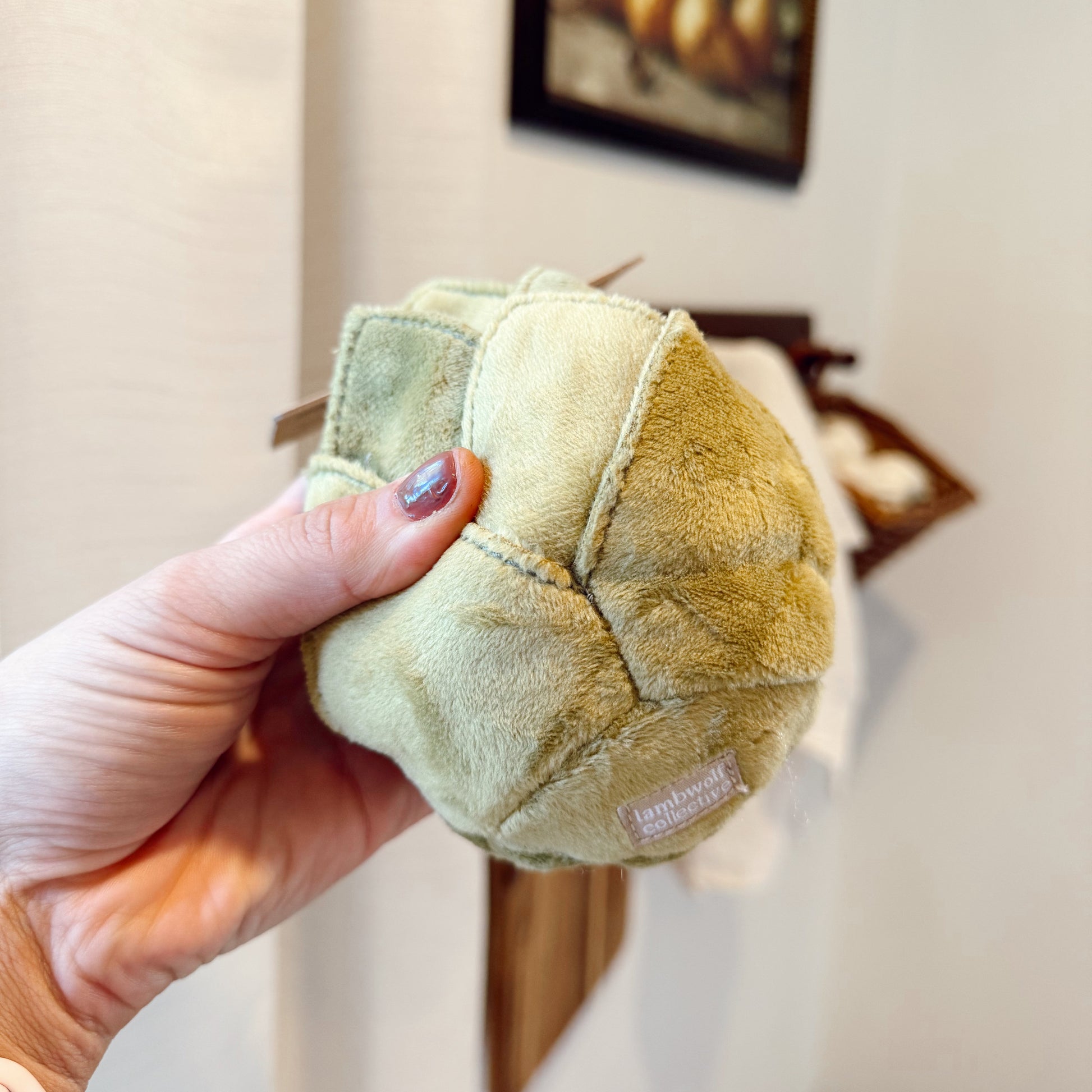 Hand holding a green dog toy.