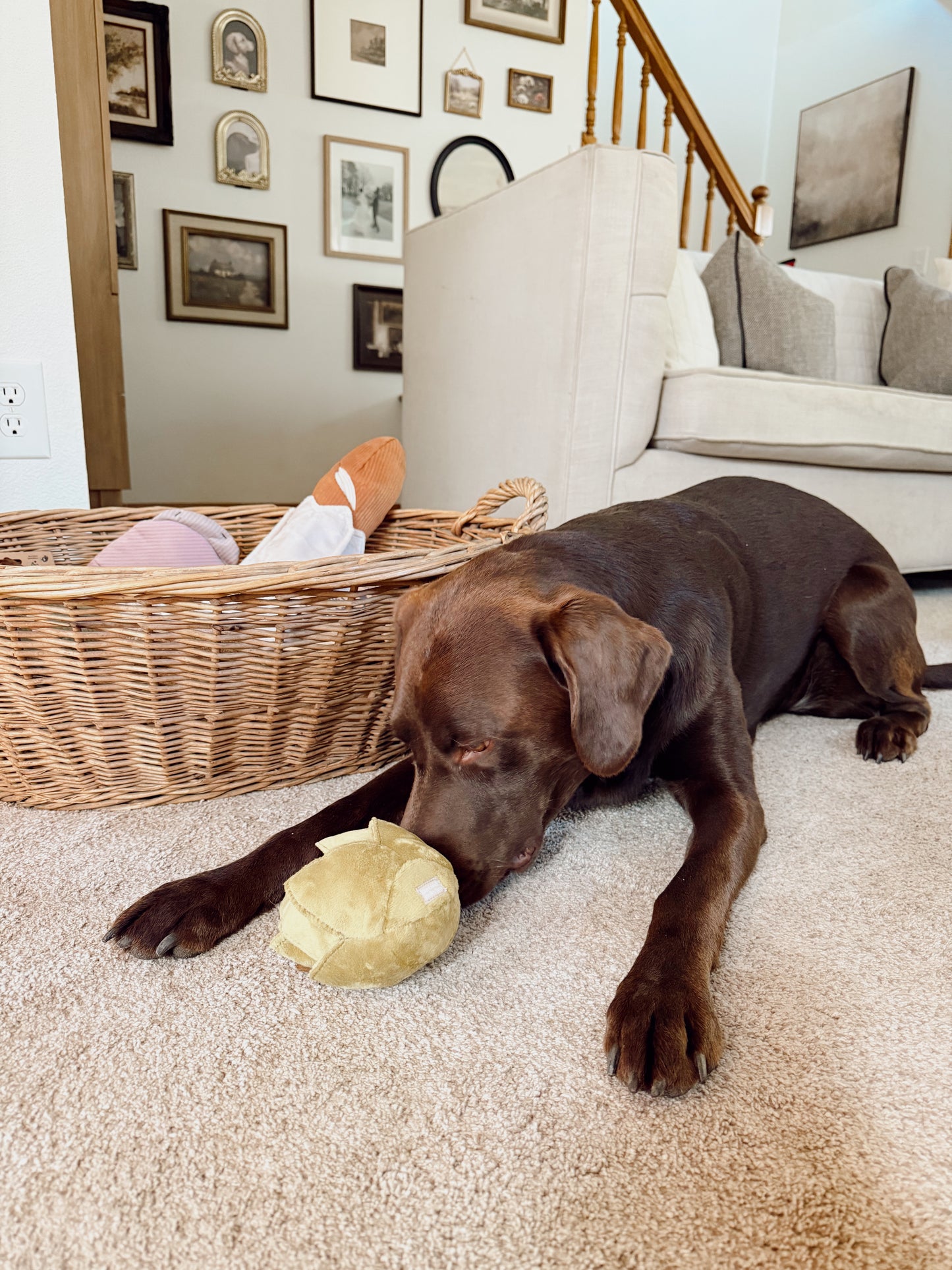 Interactive Artichoke Snuffle Dog Enrichment Toy - Nosework for Mental Stimulation (Washable, S/M)