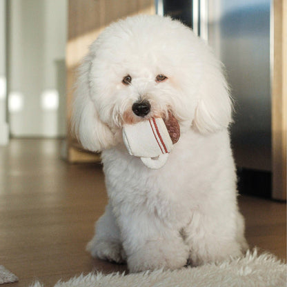 Interactive Espresso Cup Dog Enrichment Toy - Nosework for Mental Stimulation (Washable, S/M)